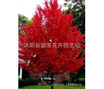 產(chǎn)品庫(kù)